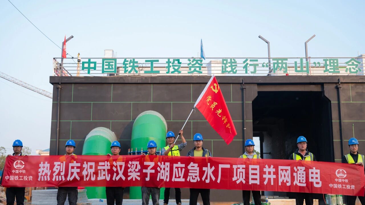 武漢市梁子湖應急水廠項目實現并網通電