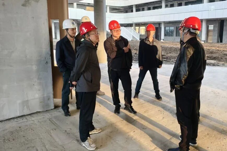 南京市六合區(qū)人大常委會(huì)副主任、龍袍新城副指揮長薛其松到南京龍袍項(xiàng)目檢查指導(dǎo)工作